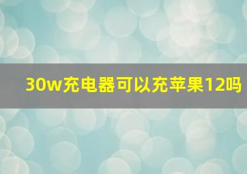 30w充电器可以充苹果12吗