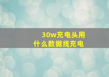 30w充电头用什么数据线充电