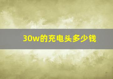 30w的充电头多少钱