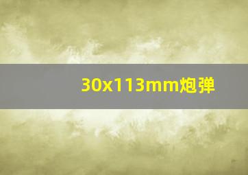 30x113mm炮弹