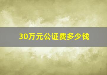 30万元公证费多少钱