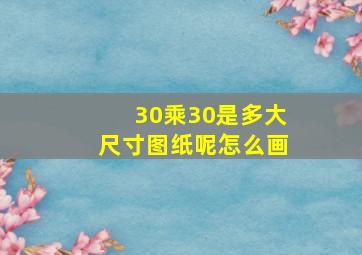 30乘30是多大尺寸图纸呢怎么画