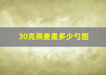 30克燕麦是多少勺图