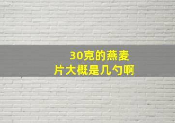 30克的燕麦片大概是几勺啊