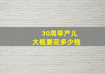 30周早产儿大概要花多少钱