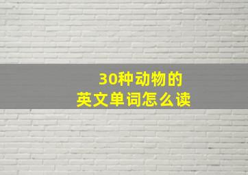 30种动物的英文单词怎么读