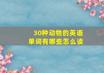 30种动物的英语单词有哪些怎么读