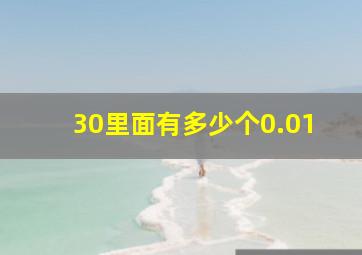 30里面有多少个0.01