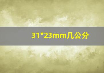 31*23mm几公分