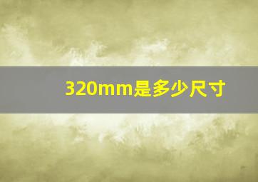 320mm是多少尺寸