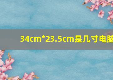 34cm*23.5cm是几寸电脑