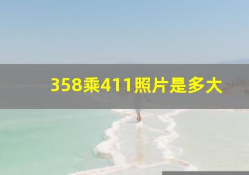 358乘411照片是多大