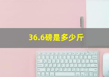 36.6磅是多少斤