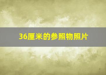 36厘米的参照物照片