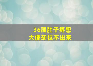 36周肚子疼想大便却拉不出来