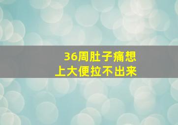 36周肚子痛想上大便拉不出来