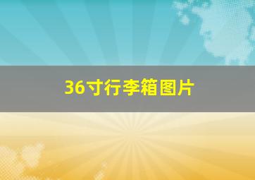 36寸行李箱图片