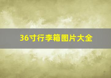 36寸行李箱图片大全