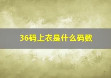 36码上衣是什么码数