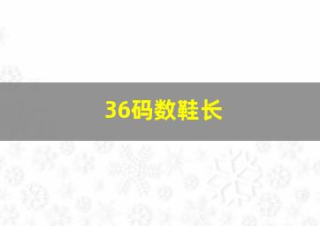 36码数鞋长