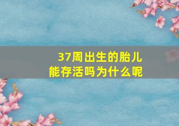 37周出生的胎儿能存活吗为什么呢