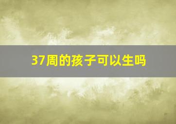 37周的孩子可以生吗