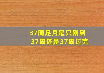 37周足月是只刚到37周还是37周过完