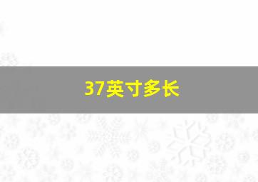 37英寸多长