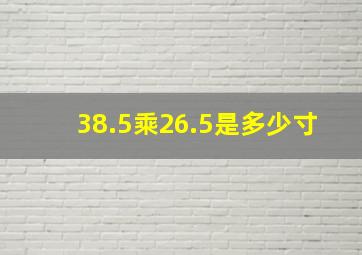 38.5乘26.5是多少寸