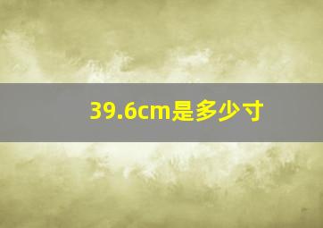 39.6cm是多少寸