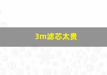 3m滤芯太贵