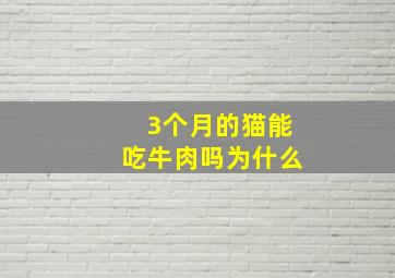 3个月的猫能吃牛肉吗为什么