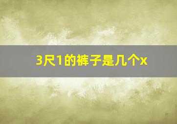 3尺1的裤子是几个x