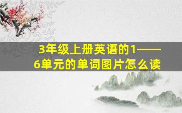 3年级上册英语的1――6单元的单词图片怎么读