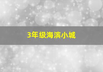 3年级海滨小城