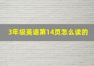 3年级英语第14页怎么读的