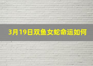 3月19日双鱼女蛇命运如何