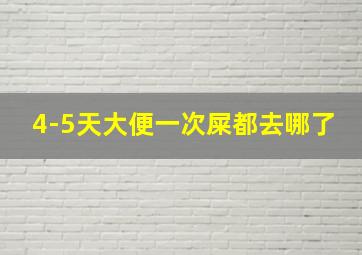 4-5天大便一次屎都去哪了