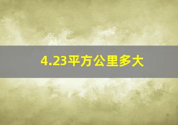 4.23平方公里多大