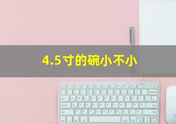 4.5寸的碗小不小