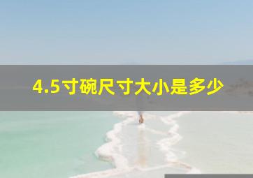 4.5寸碗尺寸大小是多少