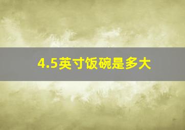 4.5英寸饭碗是多大