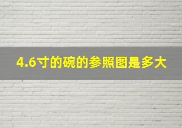 4.6寸的碗的参照图是多大