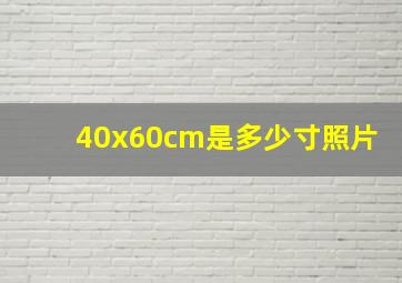 40x60cm是多少寸照片