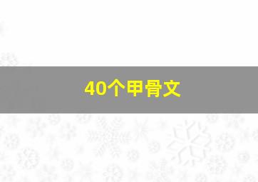 40个甲骨文