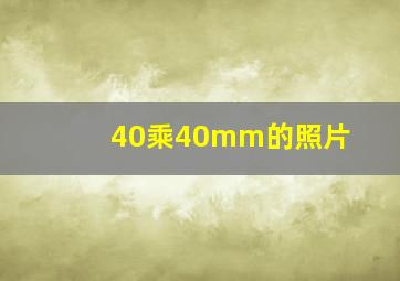 40乘40mm的照片