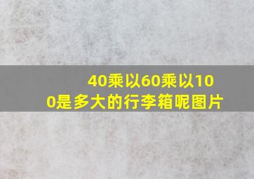 40乘以60乘以100是多大的行李箱呢图片