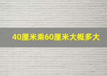 40厘米乘60厘米大概多大