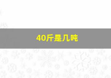 40斤是几吨