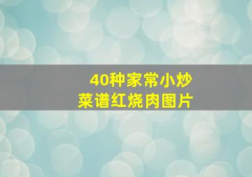 40种家常小炒菜谱红烧肉图片